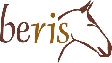 logo-beris-384x300
