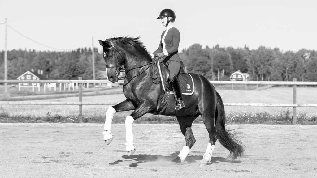 samarbetspartners-emelie-nyrerod