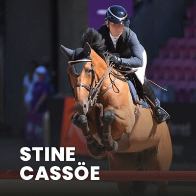 stine